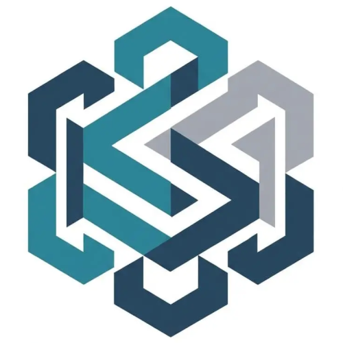 Business Systems Advisory LLC